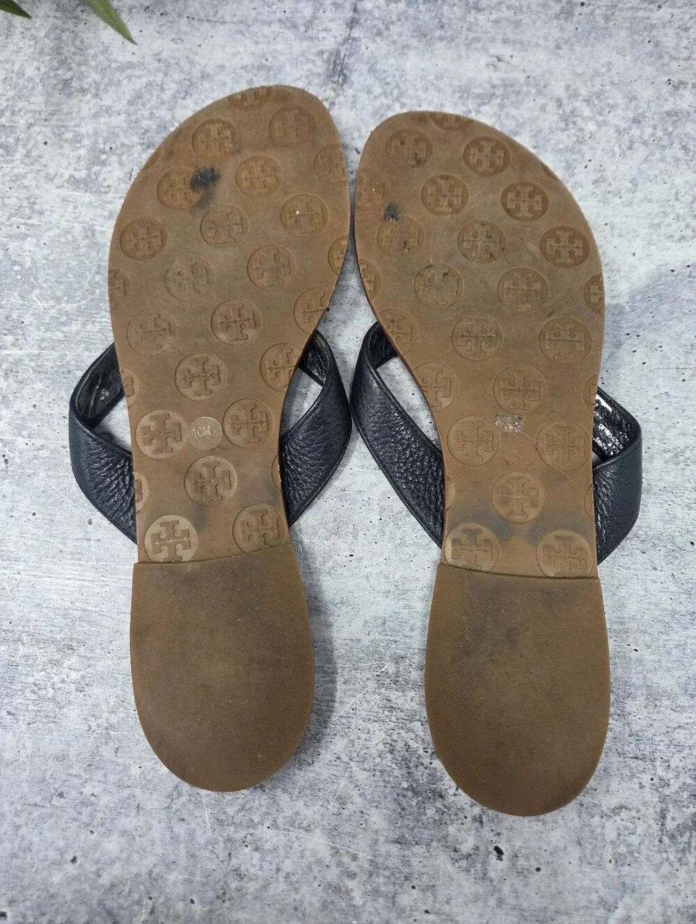 Tory Burch tory burch